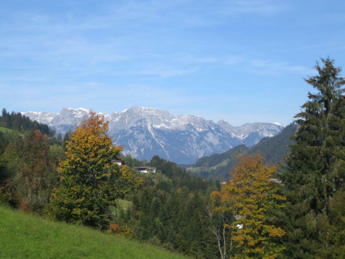 Vordersattlegghofhuette Villa Hüttau Екстериор снимка